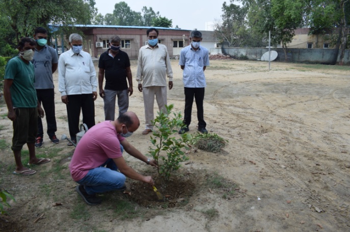 Plantation Drive on ICAR’s 93rd Foundation Day-23-7-2021